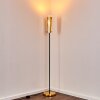 Tegna Staande lamp Zwart-Goud, 1-licht