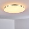 Genthin Plafondlamp LED Wit, 1-licht, Afstandsbediening