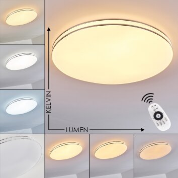 Genthin Plafondlamp LED Wit, 1-licht, Afstandsbediening