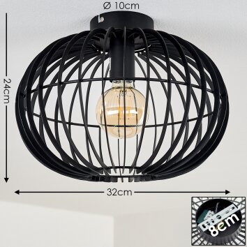 Svensbyn Plafondlamp Zwart, 1-licht