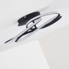 Belgorod Plafondlamp LED Zwart, 1-licht