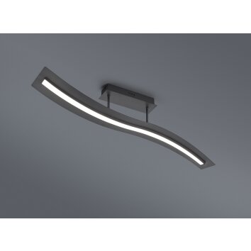 Trio Salerno Plafondlamp LED Zwart, 1-licht