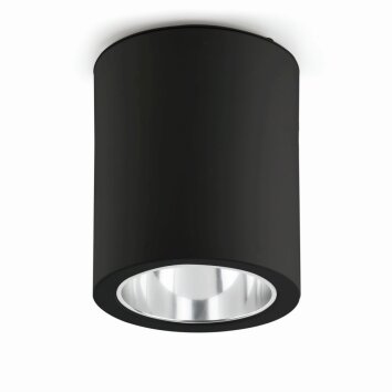 Faro Barcelona Pote Plafondlamp Zwart, 1-licht