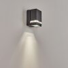 Haines Buiten muurverlichting Antraciet, Zwart, 1-licht