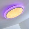 Lowell Plafondlamp LED Wit, 2-lichts, Afstandsbediening, Kleurwisselaar