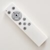 Lowell Plafondlamp LED Wit, 2-lichts, Afstandsbediening, Kleurwisselaar