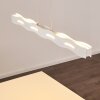 Nagold Hanglamp LED Wit, 1-licht