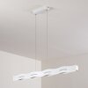Nagold Hanglamp LED Wit, 1-licht