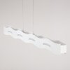 Nagold Hanglamp LED Wit, 1-licht