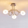 Donot Plafondlamp LED Nikkel mat, 3-lichts