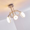 Donot Plafondlamp LED Nikkel mat, 3-lichts