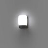 Faro Barcelona Pol Muurlamp LED Grijs, 1-licht
