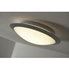 Trio GONZALO Plafondlamp LED Titan, Wit, 1-licht