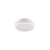 Reality KENDAL Buitenshuis plafond verlichting LED Wit, 1-licht
