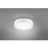 Reality KENDAL Buitenshuis plafond verlichting LED Wit, 1-licht