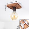 Amnicon Plafondlamp Hout donker, Zwart, 1-licht