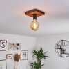 Amnicon Plafondlamp Hout donker, Zwart, 1-licht