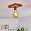 Amnicon Plafondlamp Hout donker, Zwart, 1-licht