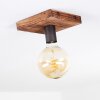 Amnicon Plafondlamp Hout donker, Zwart, 1-licht