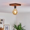 Amnicon Plafondlamp Hout donker, Zwart, 1-licht