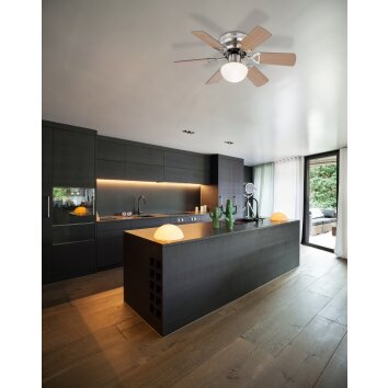 Globo UGO plafondventilator roestvrij staal, Nikkel mat, 1-licht