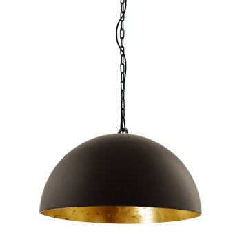 Steinhauer Semicirkel Hanglamp Zwart, 1-licht