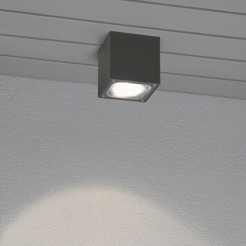 Konstsmide Cesena Plafondlamp LED Antraciet, Grijs, 1-licht