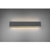 Trio CONCHA Muurlamp LED Antraciet, 2-lichts