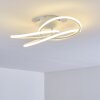 Belgorod Plafondlamp LED Wit, 1-licht