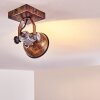 Gudo Plafondlamp Bruin, Brons, 1-licht