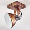 Gudo Plafondlamp Bruin, Brons, 1-licht