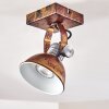 Gudo Plafondlamp Bruin, Brons, 1-licht