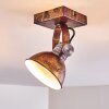Gudo Plafondlamp Bruin, Brons, 1-licht