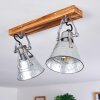 Berkeley Plafondlamp Donkerbruin, Gegalvaniseerd, 2-lichts