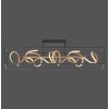 Paul Neuhaus SELINA Plafondlamp LED Zwart, 4-lichts