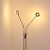 Gulkana Staande lamp LED Nikkel mat, 2-lichts