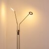 Gulkana Staande lamp LED Nikkel mat, 2-lichts