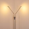 Gulkana Staande lamp LED Nikkel mat, 2-lichts
