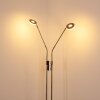 Gulkana Staande lamp LED Nikkel mat, 2-lichts