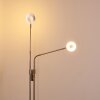 Gulkana Staande lamp LED Nikkel mat, 2-lichts