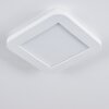 Siguna Plafondlamp LED Wit, 1-licht