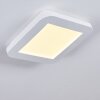 Siguna Plafondlamp LED Wit, 1-licht