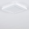 Siguna Plafondlamp LED Wit, 1-licht