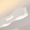 Nagold Plafondlamp LED Wit, 1-licht