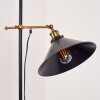Gudem Staande lamp Zwart-Goud, 1-licht