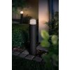 Philips Hue Ambiance White Lucca Padverlichting LED Antraciet, 1-licht