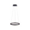 Paul Neuhaus TITUS Hanglamp LED Antraciet, 1-licht