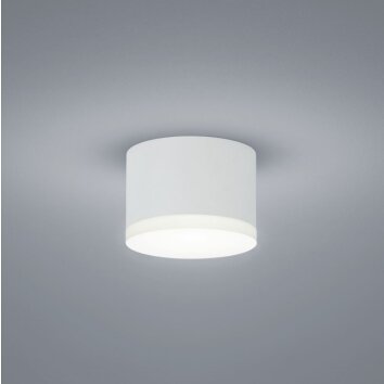 Helestra PALA Plafondlamp LED Wit, 1-licht