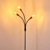 Hovslund Staande lamp Zwart-Goud, 3-lichts