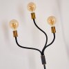 Hovslund Staande lamp Zwart-Goud, 3-lichts
